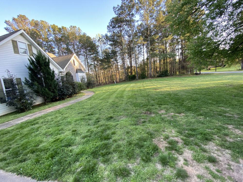 All Photos for ACE Lawn Care of Georgia LLC in Atlanta, GA