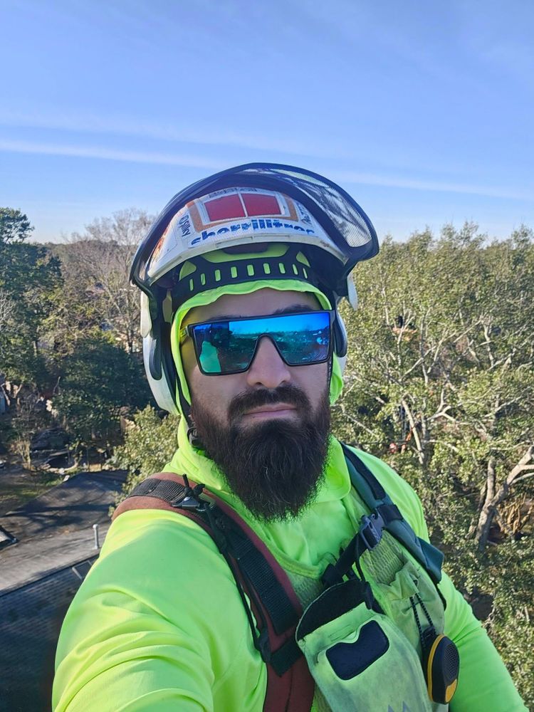 All Photos for Servin's Tree Care  in Houston, TX