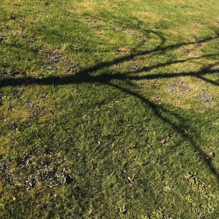 All Photos for Kathleen's Lawn & Shrub Care in Augusta, GA