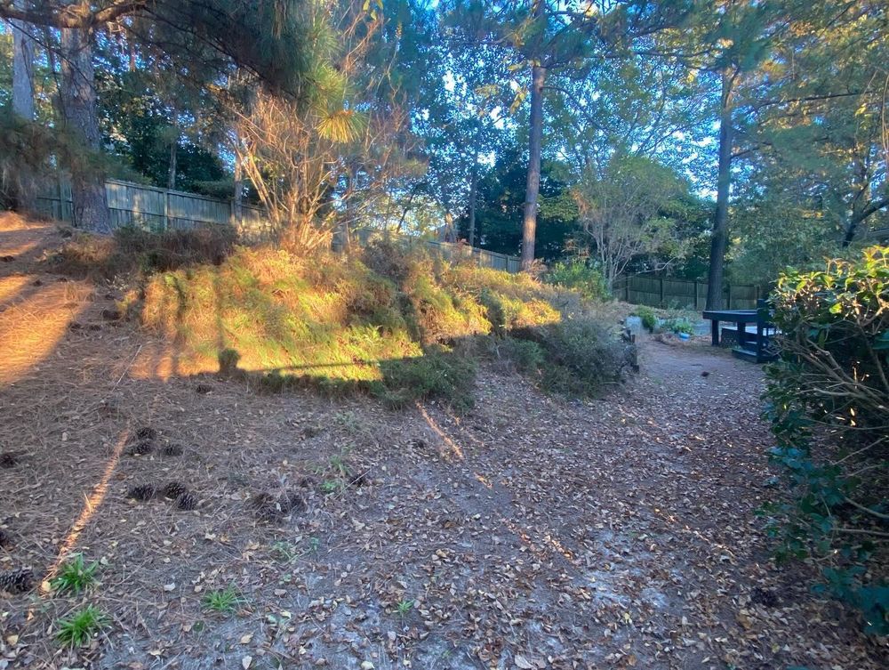 All Photos for JFS Outdoor Services in Aiken, SC