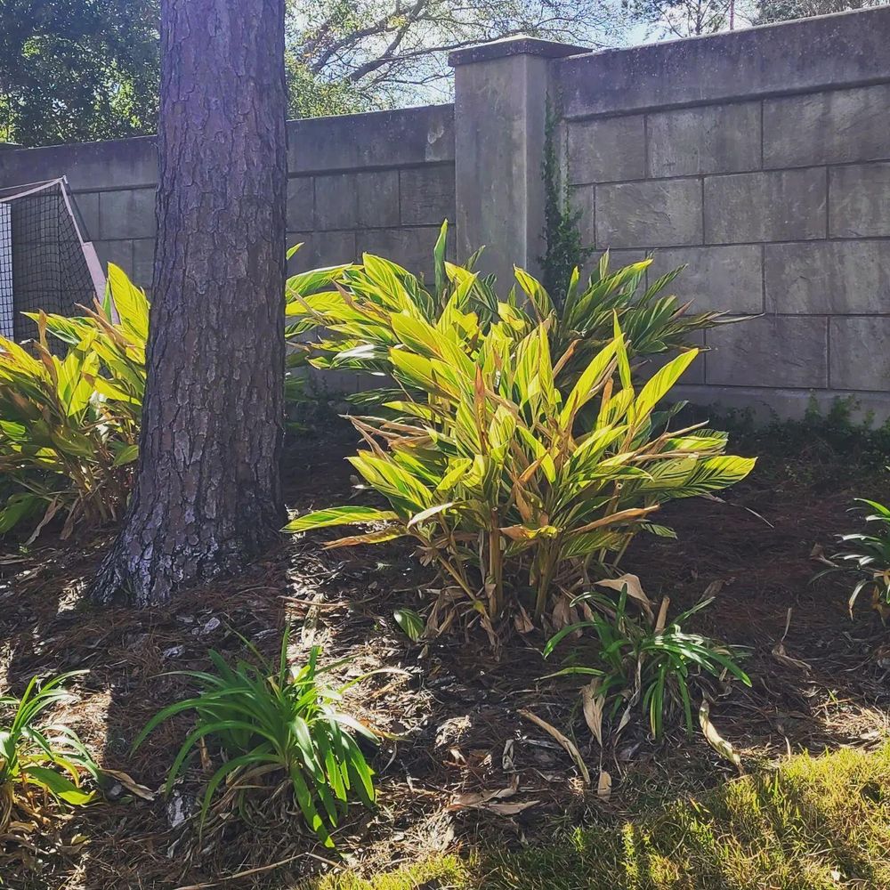 All Photos for TopNotch Landscaping Services  in The Villages, FL