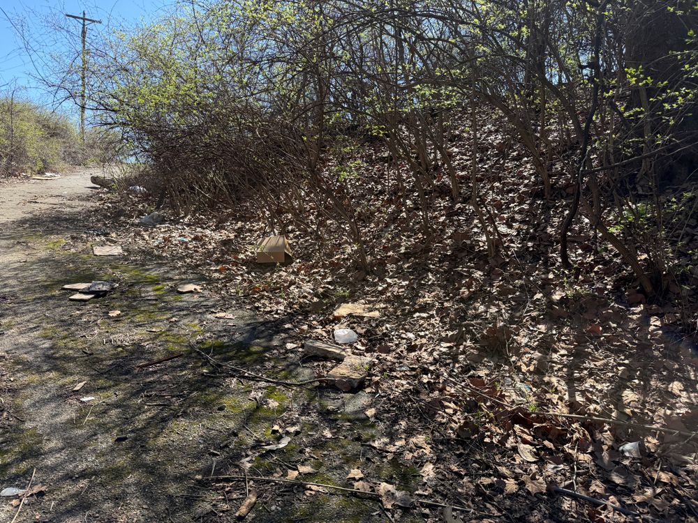 All Photos for A1 Bush Hogging & Lawn Service in London, OH