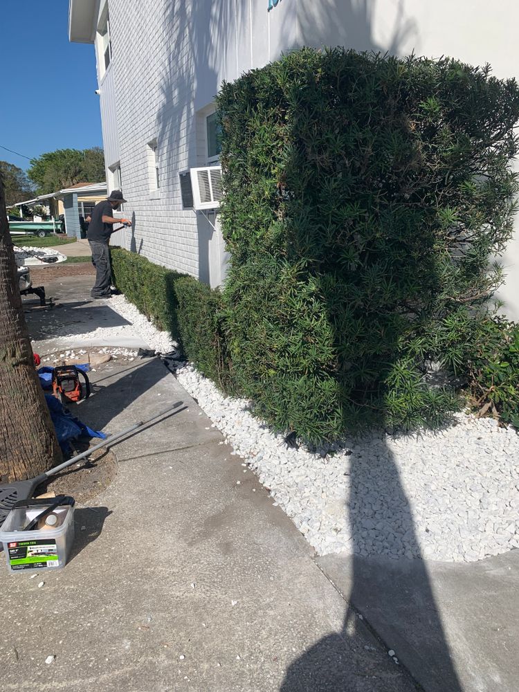 All Photos for Space Coast Property Maintenance and Management LLC in Melbourne, FL