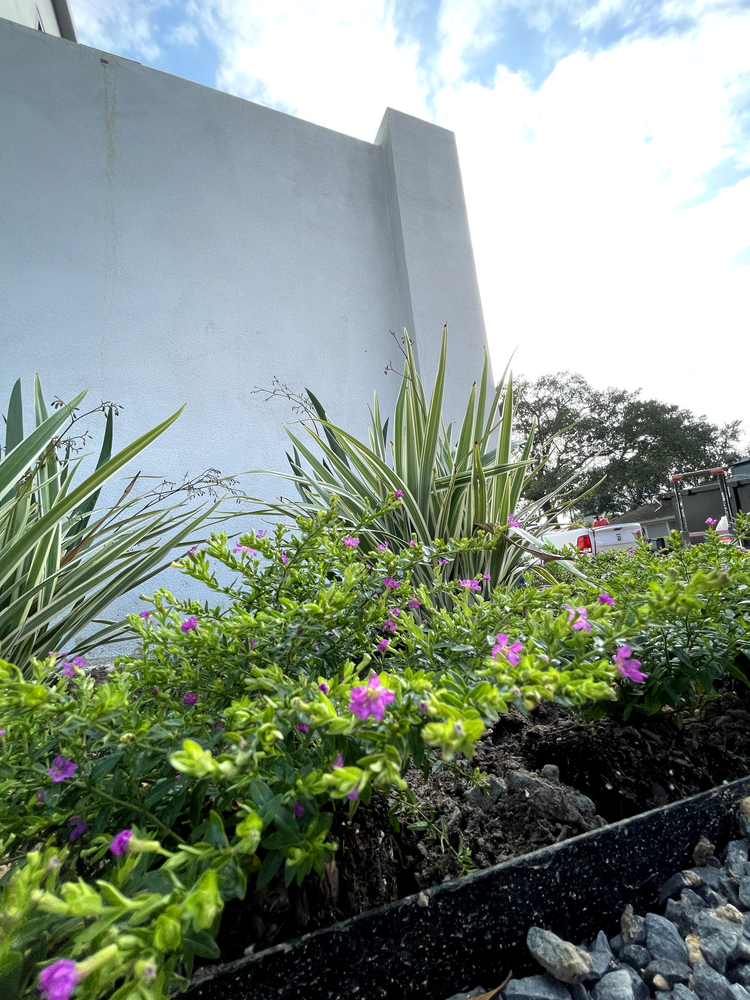 Exterior Renovations for Texas Estate Construction in West University Place, TX