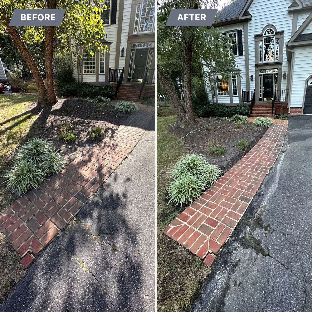 All Photos for LeafTide Solutions in Richmond, VA