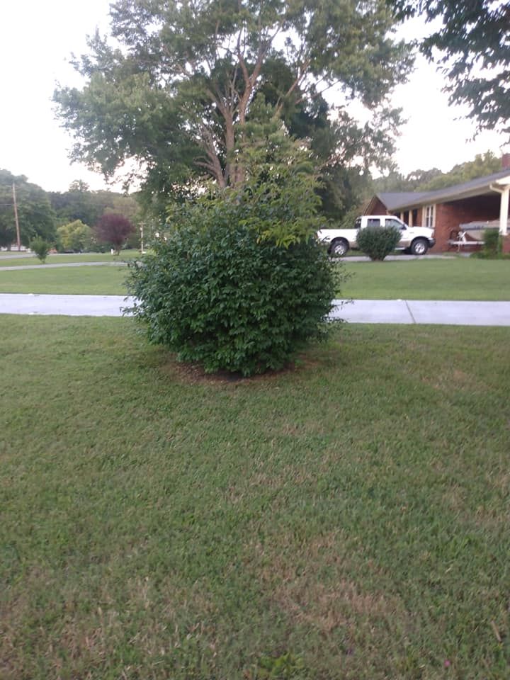 All Photos for KWL Lawn Care in Etowah, TN