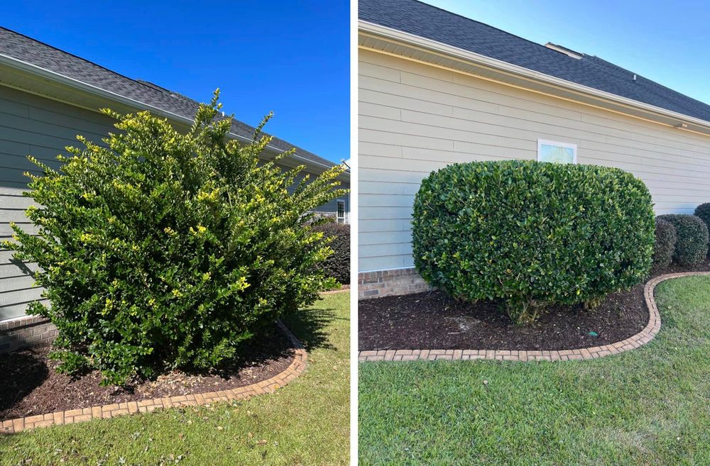 Our Mulch Install & Cleanup service includes fresh mulch installation around plant beds and trees, as well as complete removal of old mulch for a clean and refreshed look to your landscape. for GreenGo Lawn Pros in Myrtle Beach, SC