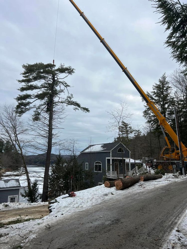 Our View Cuts service includes topping, removing, and trimming trees to create a view of lakes, mountains, rivers, etc.  for Abair Tree Service in Weare, NH