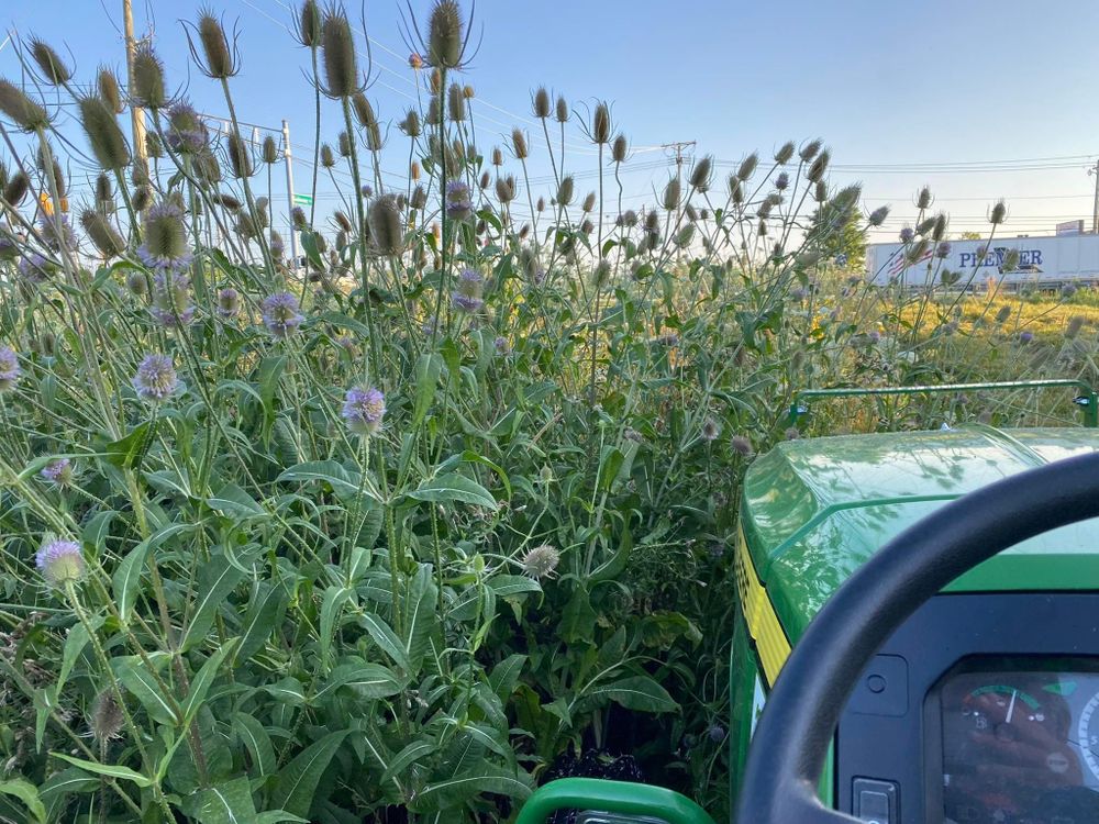 All Photos for A1 Bush Hogging & Lawn Service in Columbus, OH