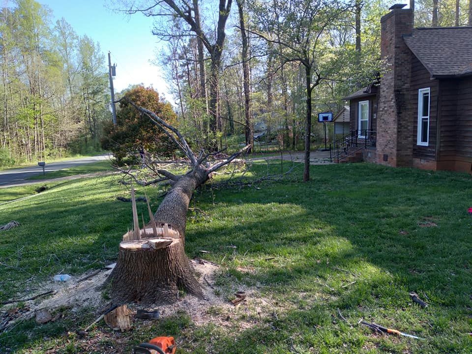 Tree Removal for Top Notch Lawn Care and Tree Removal in Mebane, NC