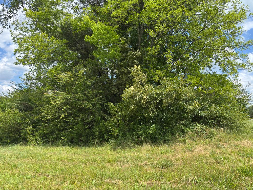 All Photos for Great American Landworks  in Morrison, TN
