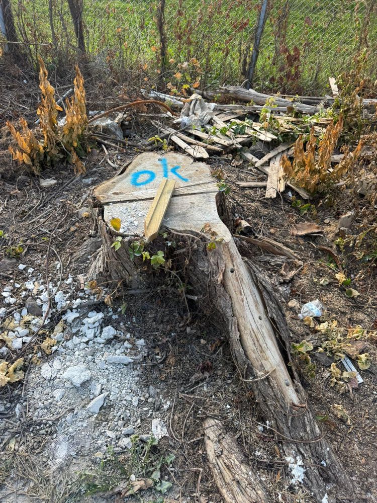 All Photos for Jills Stump Grinding and Firewood in Shelton, CT