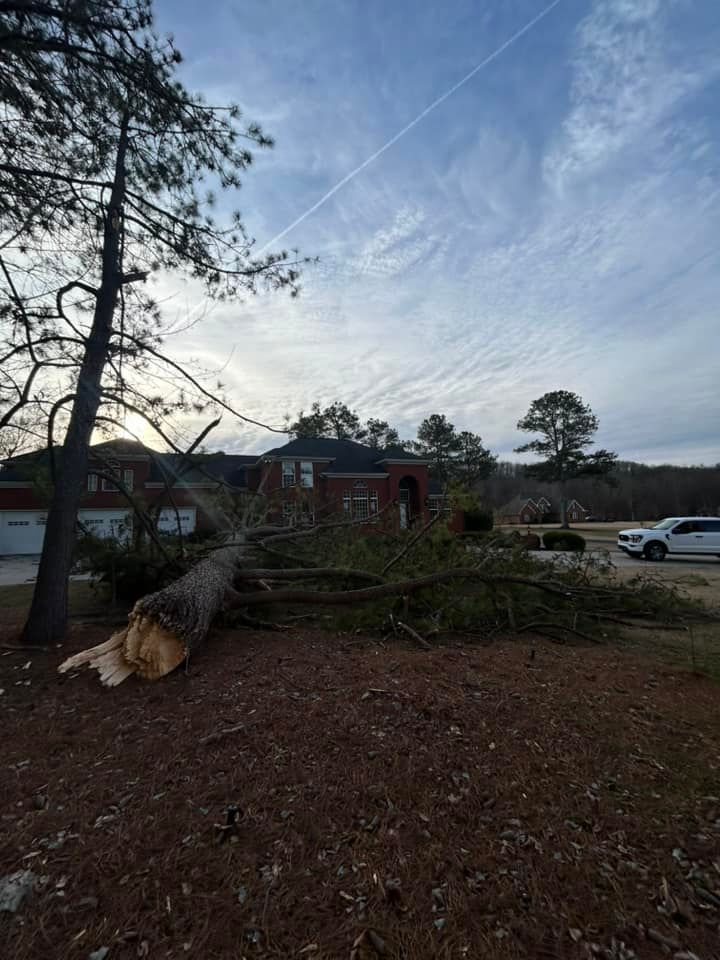 Tree Removal and Trimming for Chipper's Tree Service  in Fort Payne, AL
