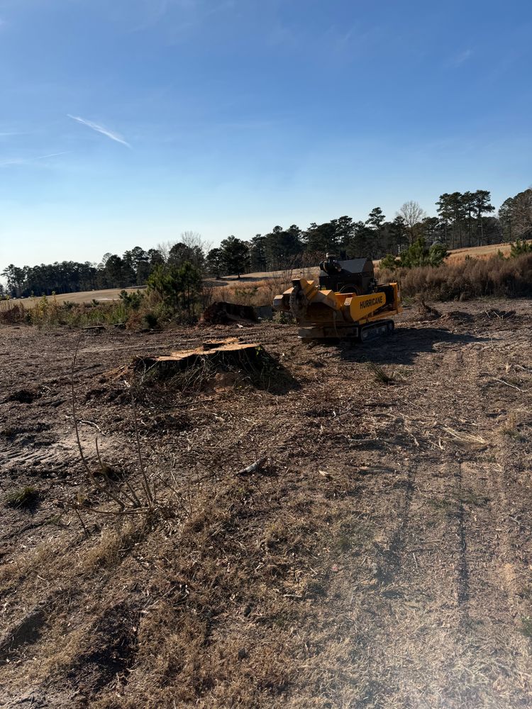 All Photos for Dozier Stump Grinding in Augusta, GA