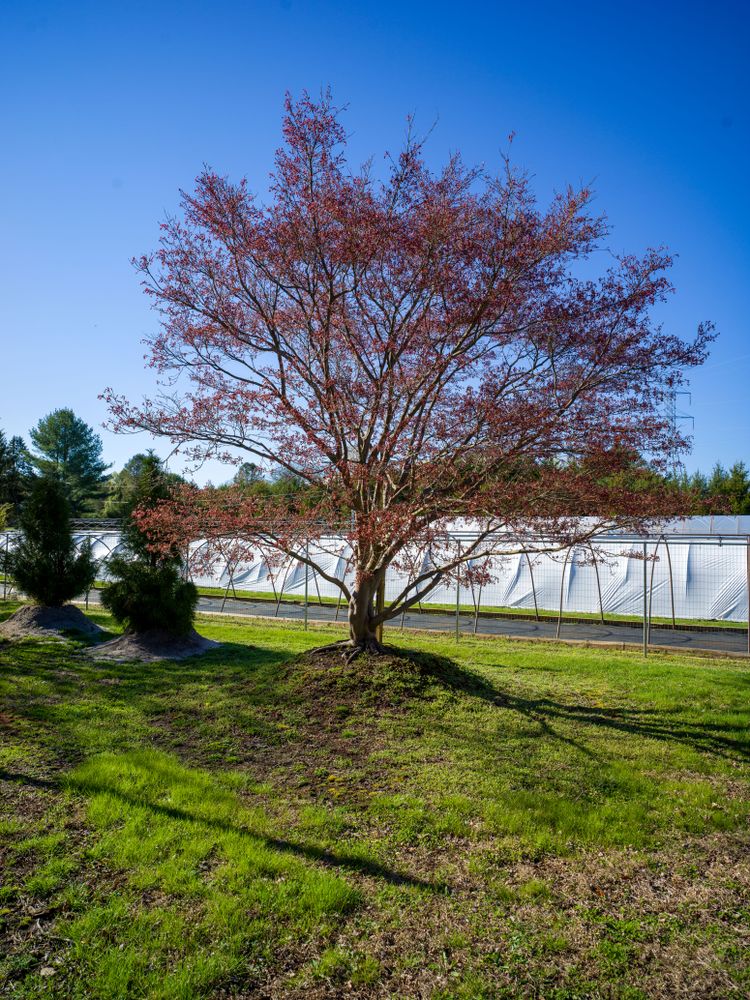 All Photos for  in Morristown, NJ