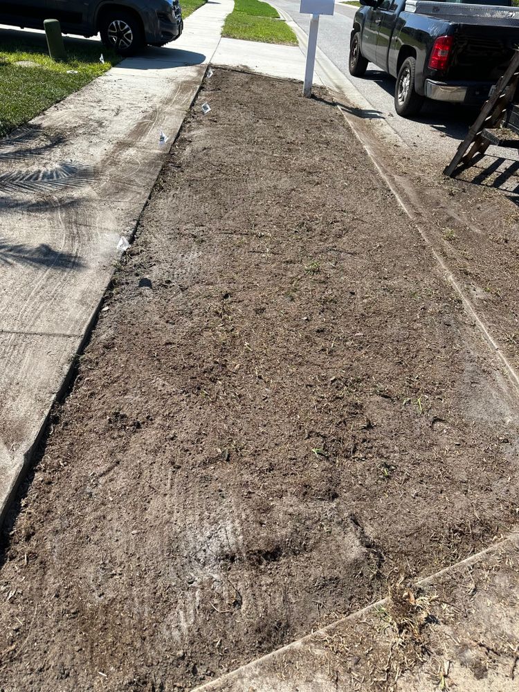 All Photos for Gulf Bay Sod in Clearwater, FL