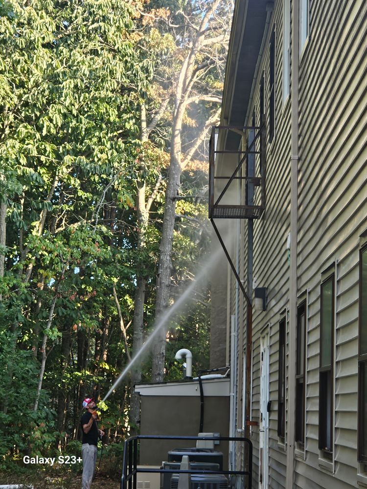 Christmas Lights Service for Curb Appeal Power Washing in Waretown, New Jersey