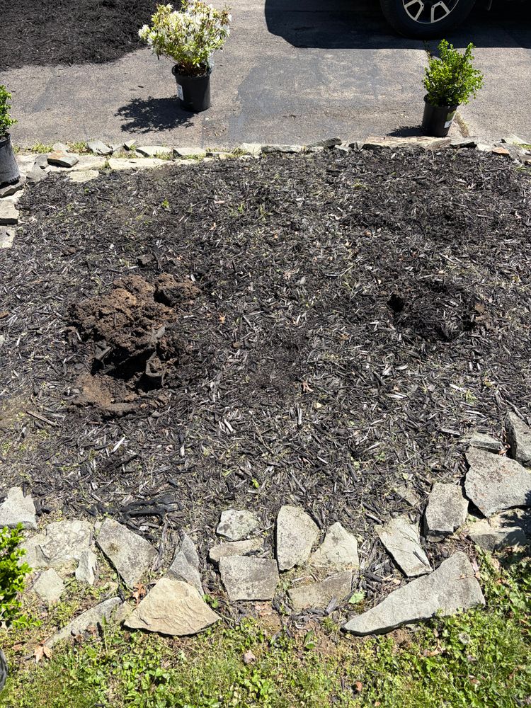 All Photos for Youngstown Lawn & Patio Design in Canfield, OH