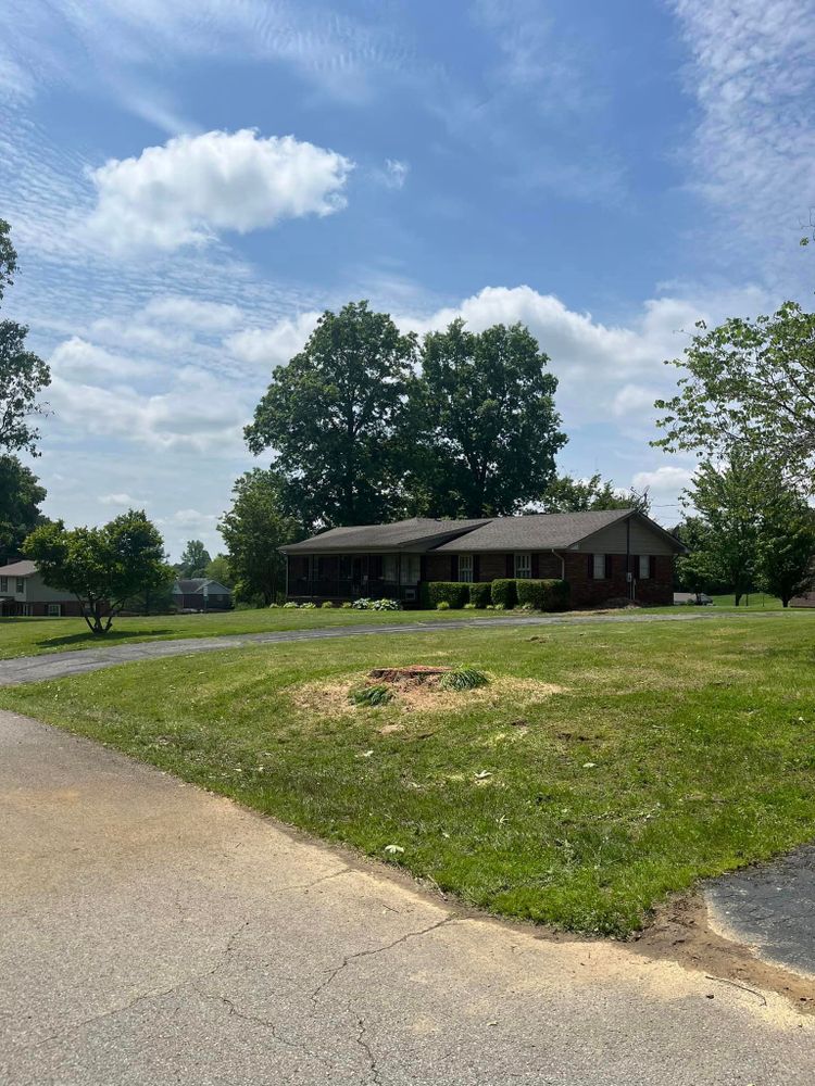 Tree Removal for Curtis Tree Service LLC in Hopkins County, KY