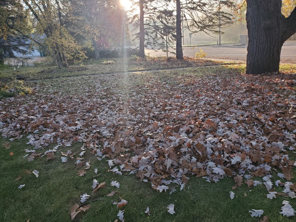 Fall clean up  for K & I Lawn Care Service  in Eden Prarie, MN