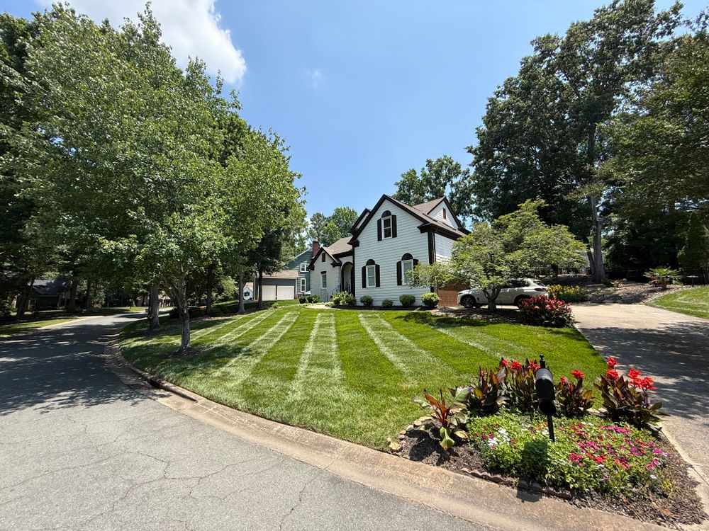 All Photos for Blue Sky Turf in Monroe, NC