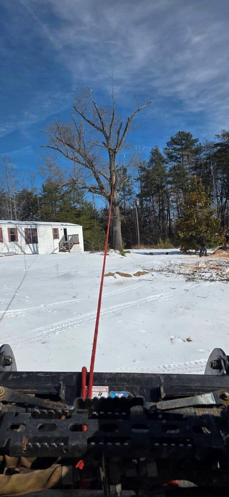 All Photos for Hamlett Tree Service LLC in Clover, VA