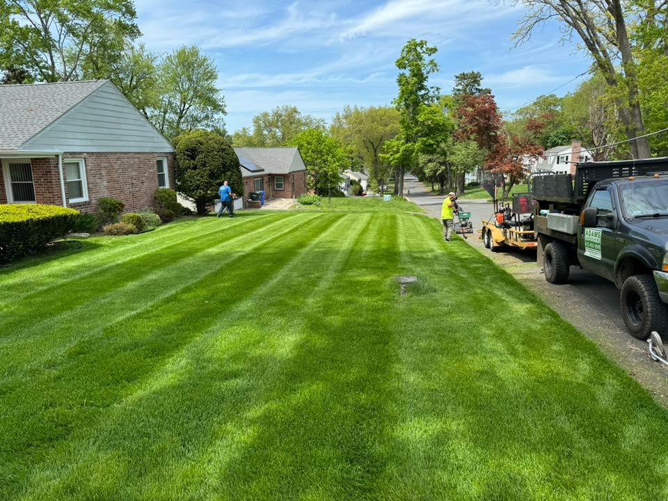 Mowing for Adams Landscaping in Springfield, MA