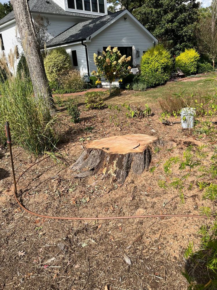 All Photos for Junk B Gone in Rougemont, NC