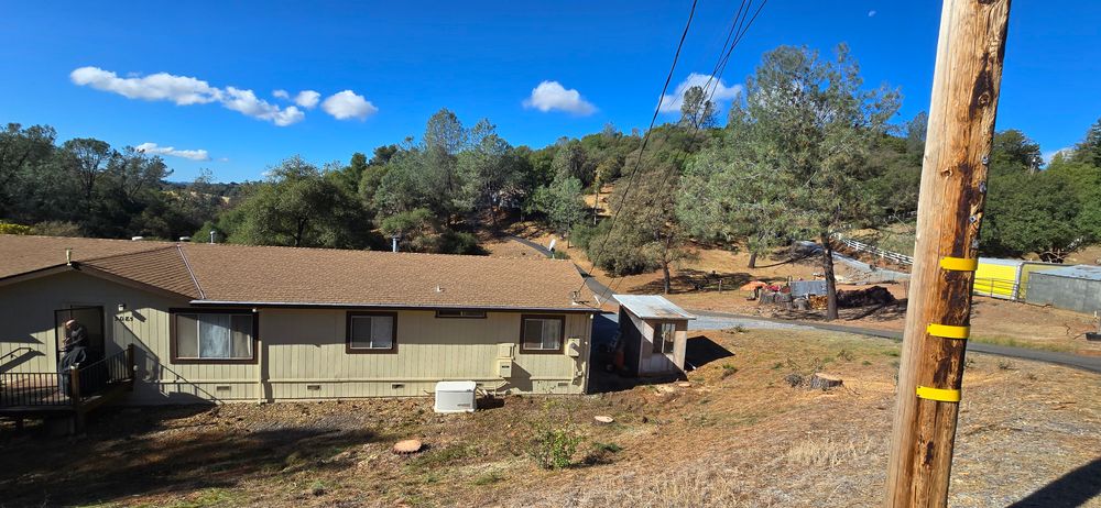 All Photos for George Staddan's Professional Tree Care in Placerville, CA