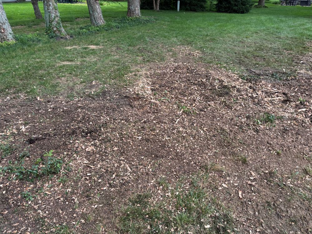 All Photos for Conrad's Stump Removal in Columbus, IN