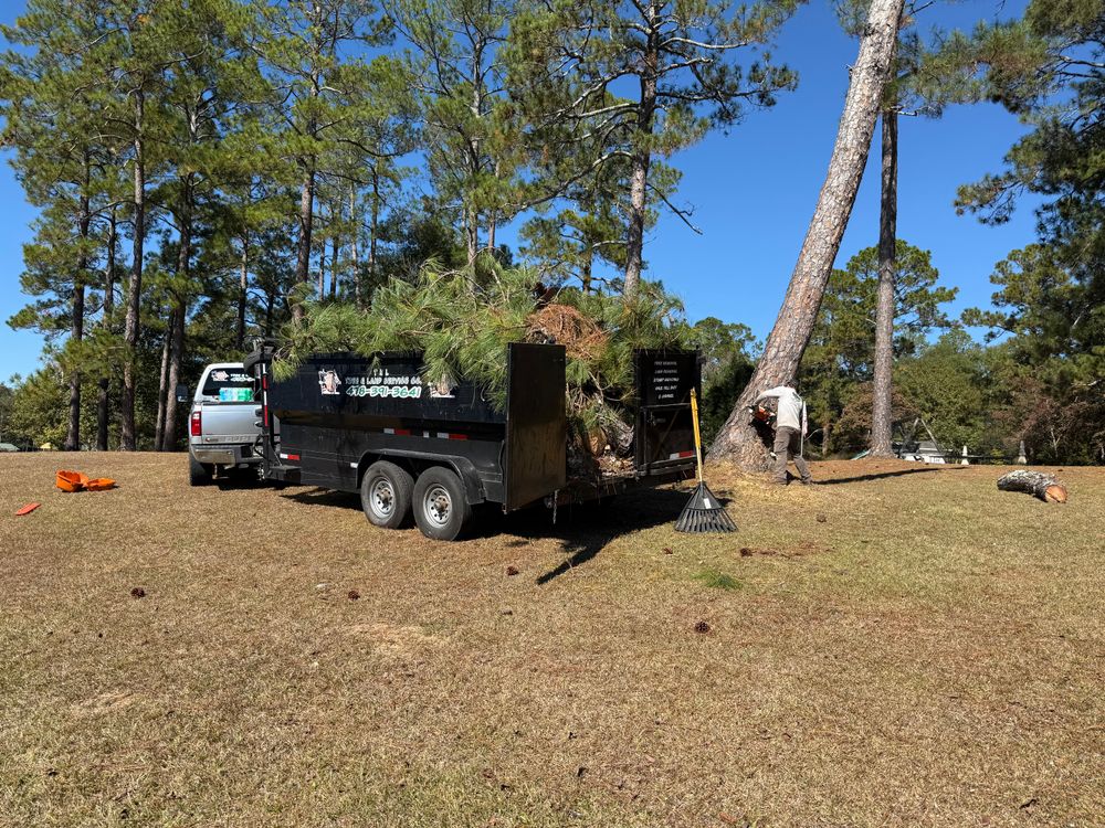 All Photos for T N L - Tree and Land Service in Reynolds, GA