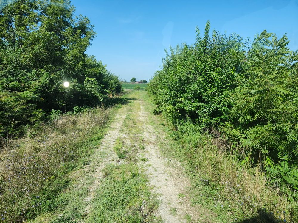 All Photos for BDS Trucking & Excavating in Litchfield, IL