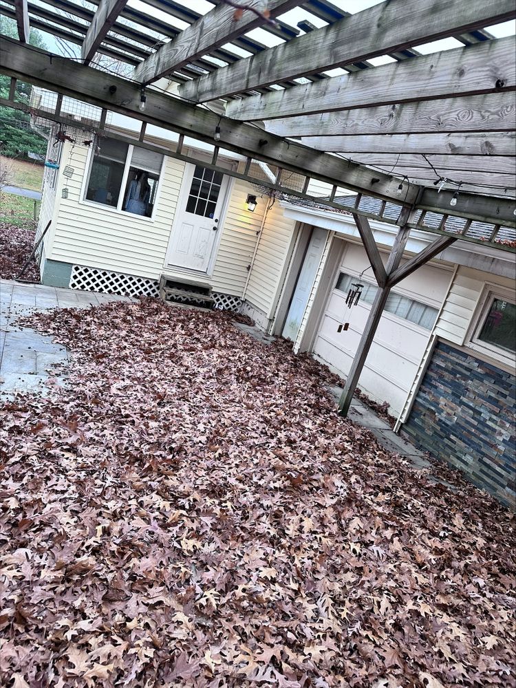 Leaf Removal for 4 Brothers Landscaping LLC in Albany, NY