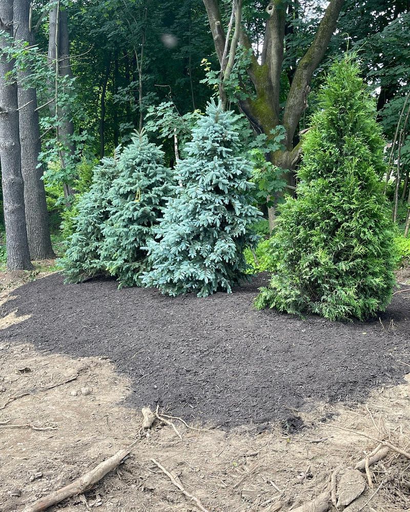 Landscaping for B&L Management LLC in East Windsor, CT