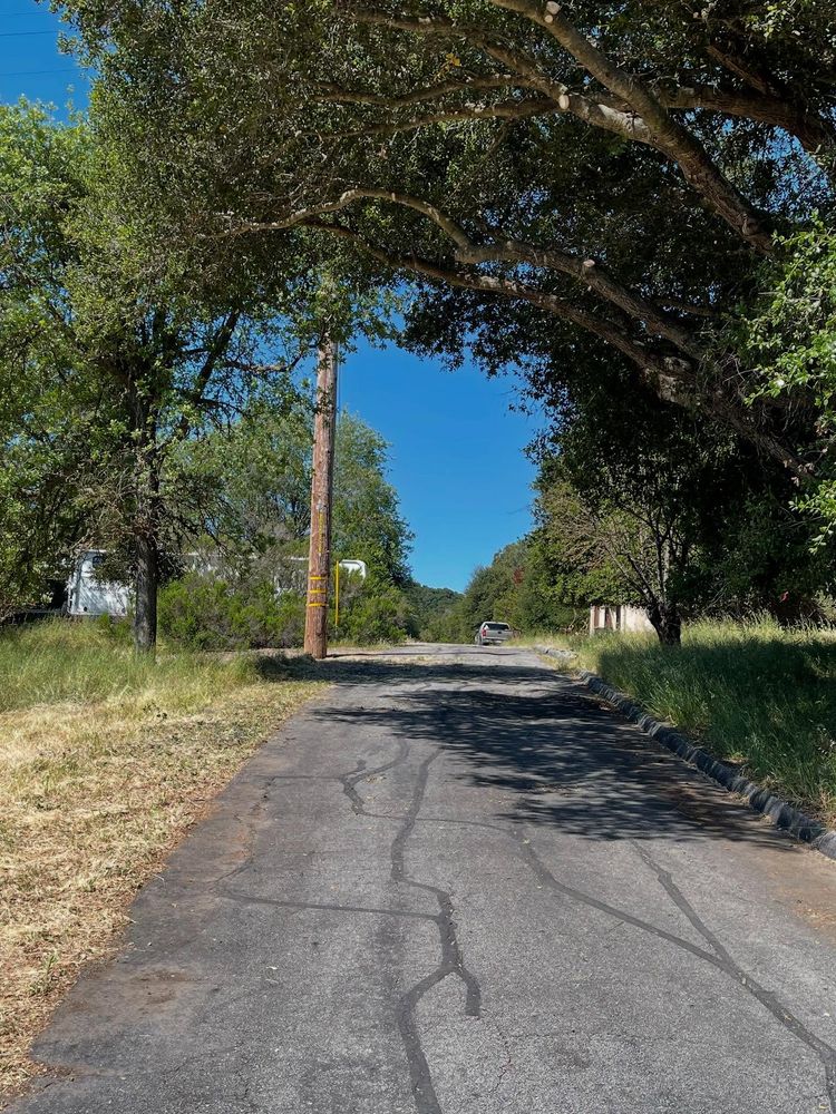 Enhance your property's safety and beauty with our expert tree trimming service, which promotes healthy growth while removing hazardous branches to maintain the health and aesthetic appeal of your trees. for A1 Junk & Tree Solutions, LLC in Paso Robles, CA
