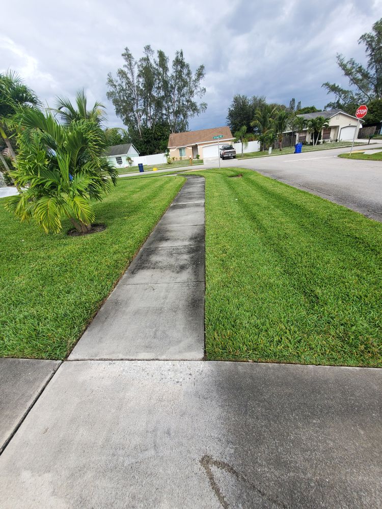 All Photos for Zero Pressure Roof Cleaning INC in West Palm Beach, FL