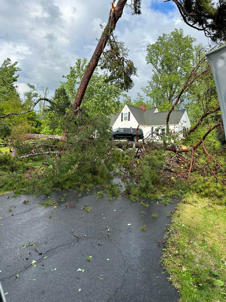 Our Storm Clean Up service provides homeowners with quick removal of fallen branches or trees following severe weather to ensure safety and prevent property damage. for El Perico Tree Service and Lawn Care, LLC in Boonville, North Carolina