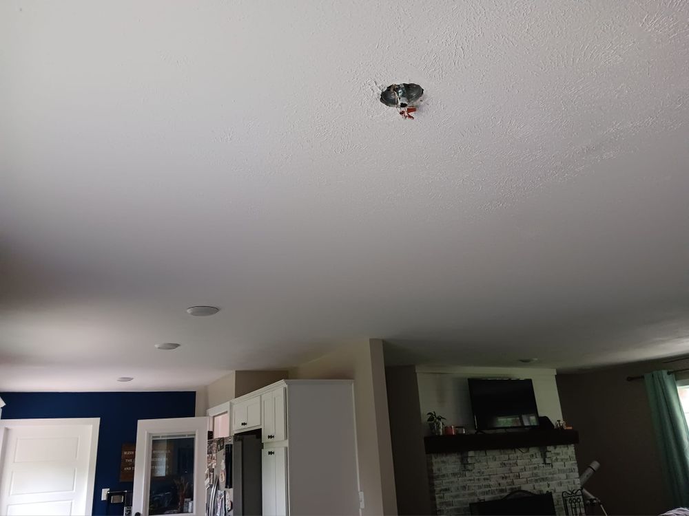 Subfloor repair and Beam Shoring for Dead Tree General Contracting in Carbondale, Illinois