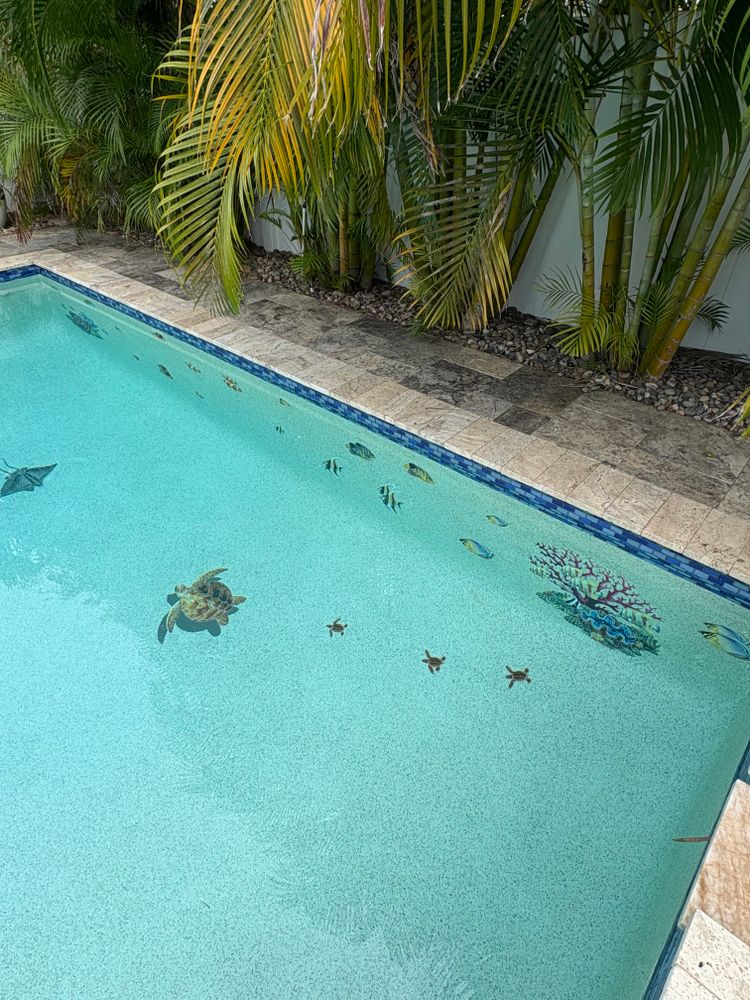 All Photos for Blue Bay Pools in Tampa, FL