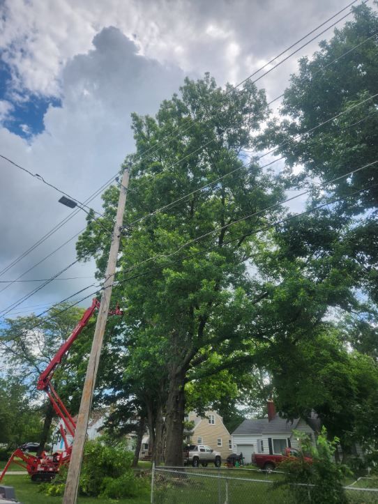 All Photos for Lawn Ranger Yard And Tree Service LLC in Ottumwa, IA