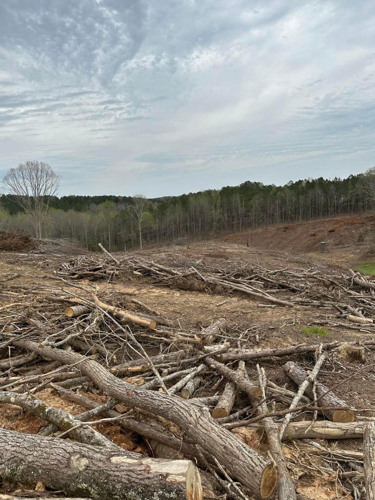 All Photos for A.P Land Management in Atlanta, Ga