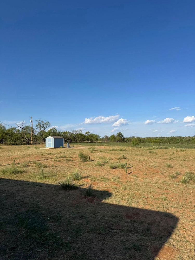 All Photos for Lion In The Tree Trimming Service in Big Spring, TX