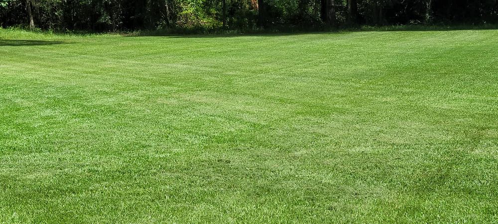 All Photos for Tyson’s Full Service Lawn Care in Starke, FL