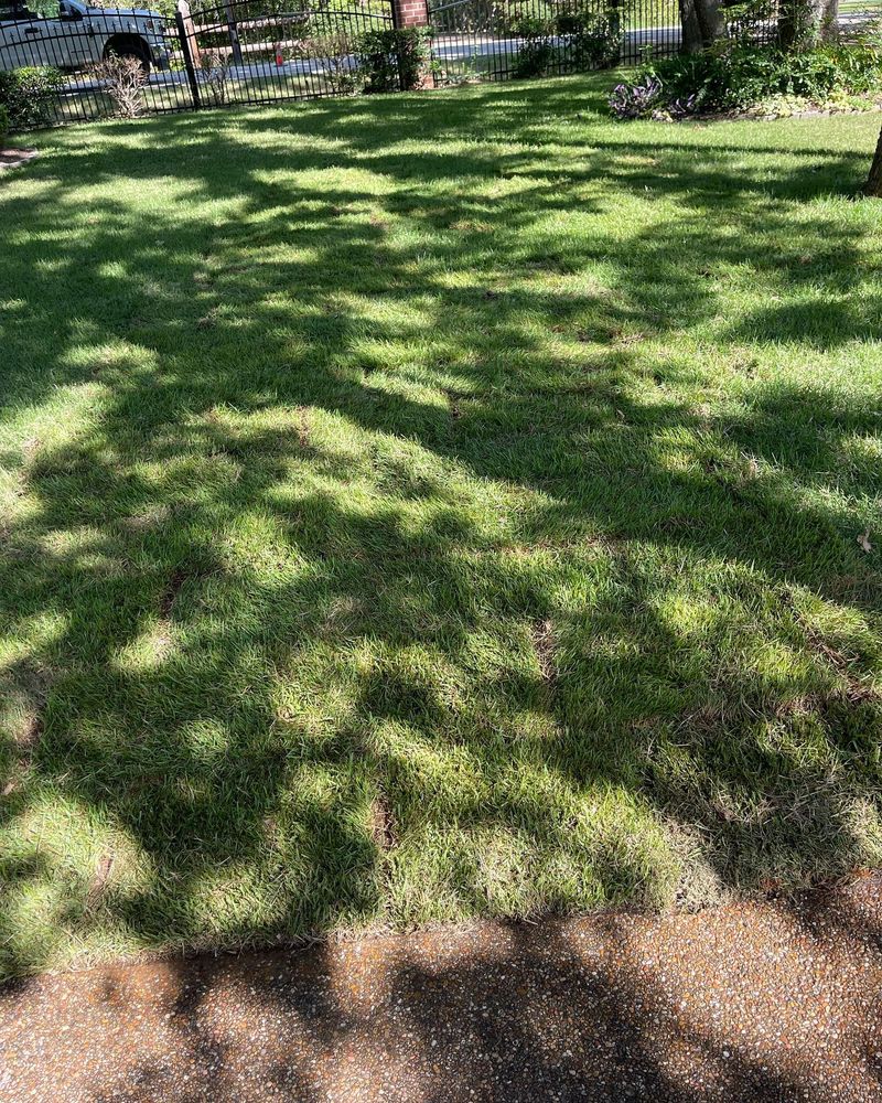 Lawn Care for Guerrero's Landscape in Fort Worth,  TX