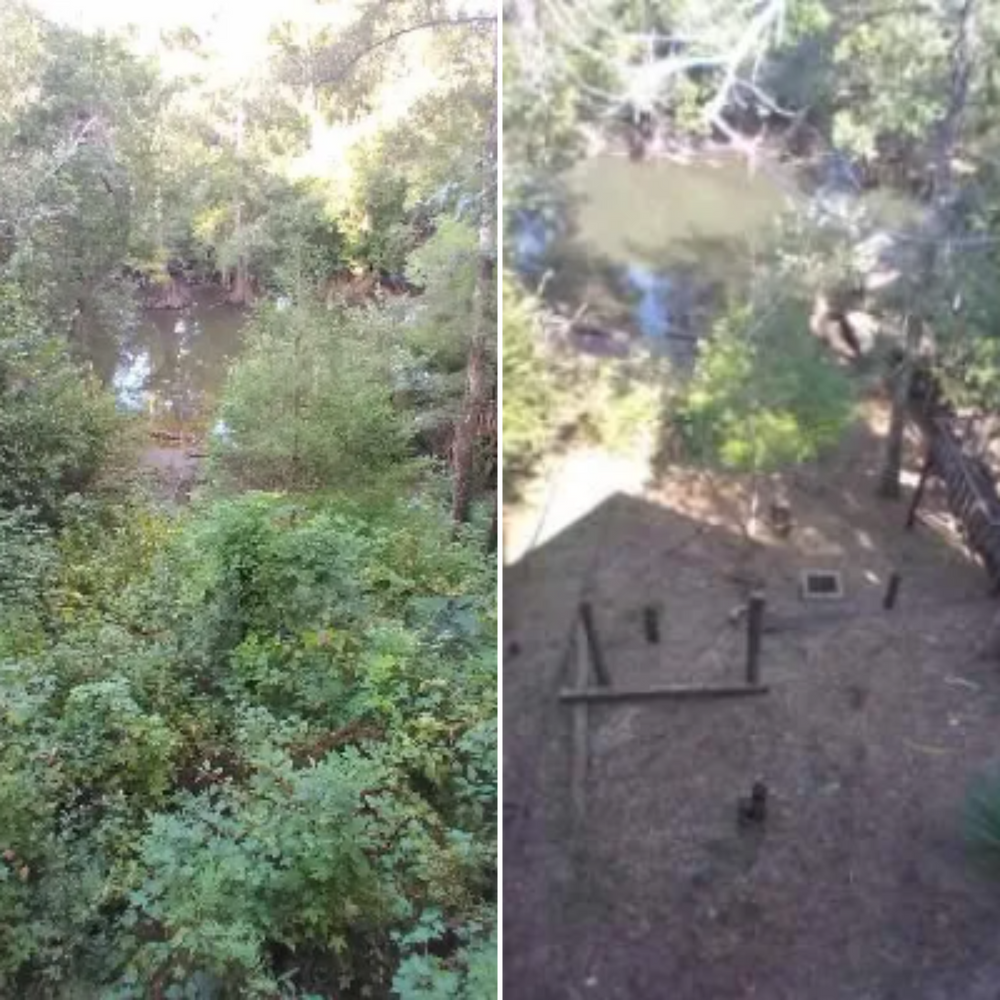 All Photos for Landrum’s Lawn & Tractor Services in Blountstown, FL