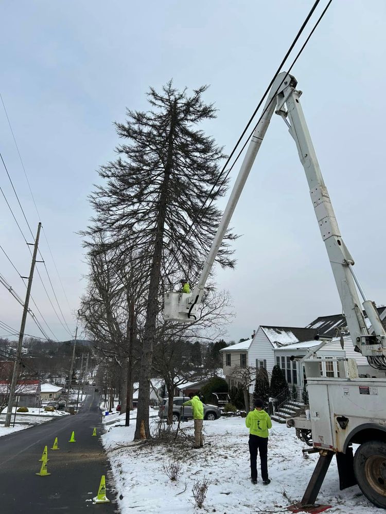 All Photos for All American Tree Services LLC in Dallas, PA