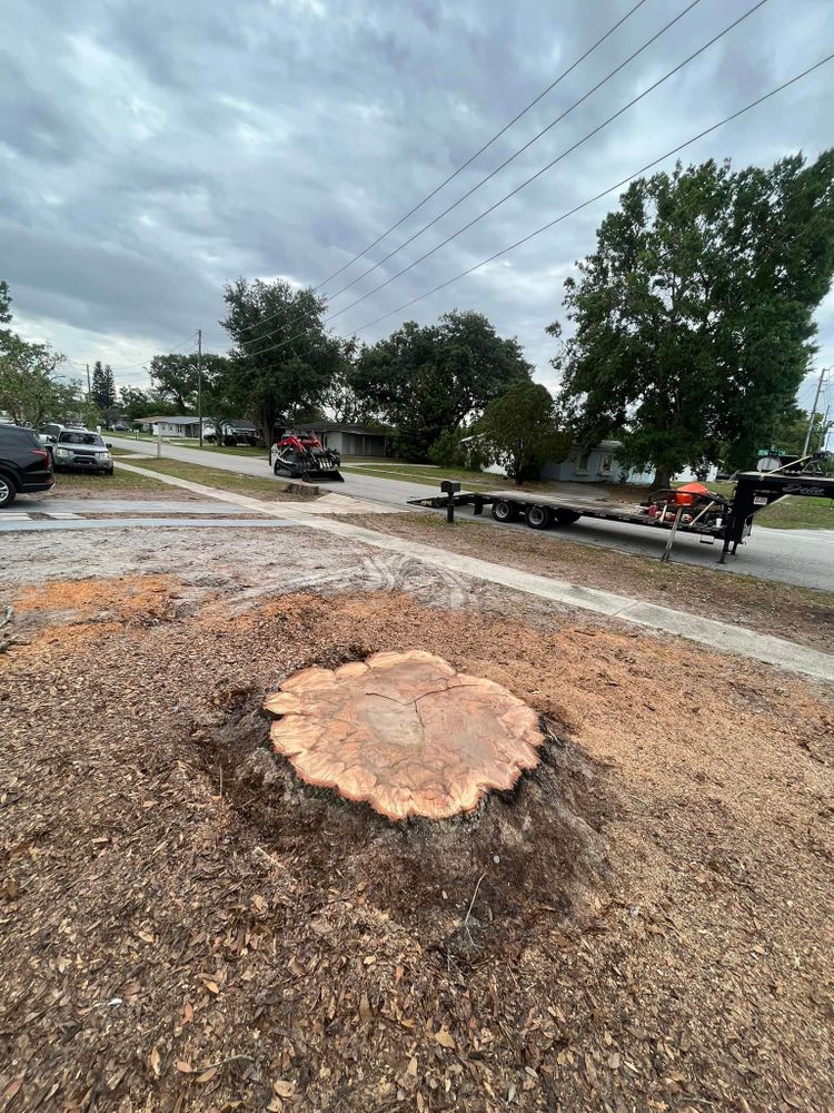 Tree Trimming and Removal for McGraw’s Lawn and Tree Service in DeLand, FL