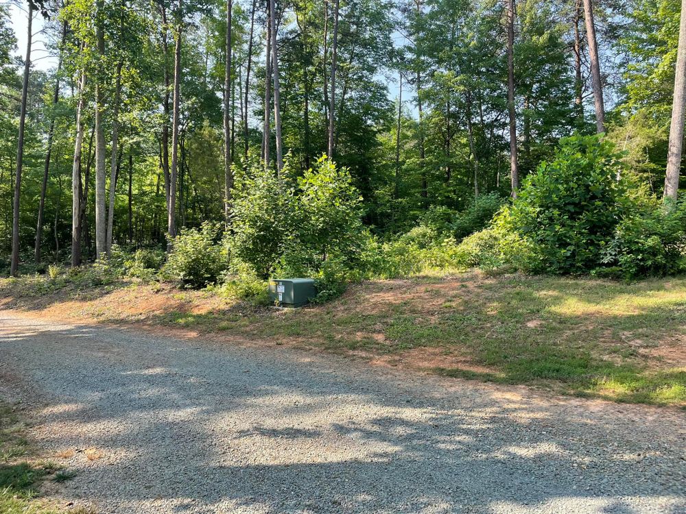 Our Bush Hogging service efficiently clears overgrown land, removing dense vegetation and brush. Ideal for creating usable space in your yard, it enhances property appearance while maintaining environmental sustainability and safety. for Cedar Point Land Management in Richmond, VA