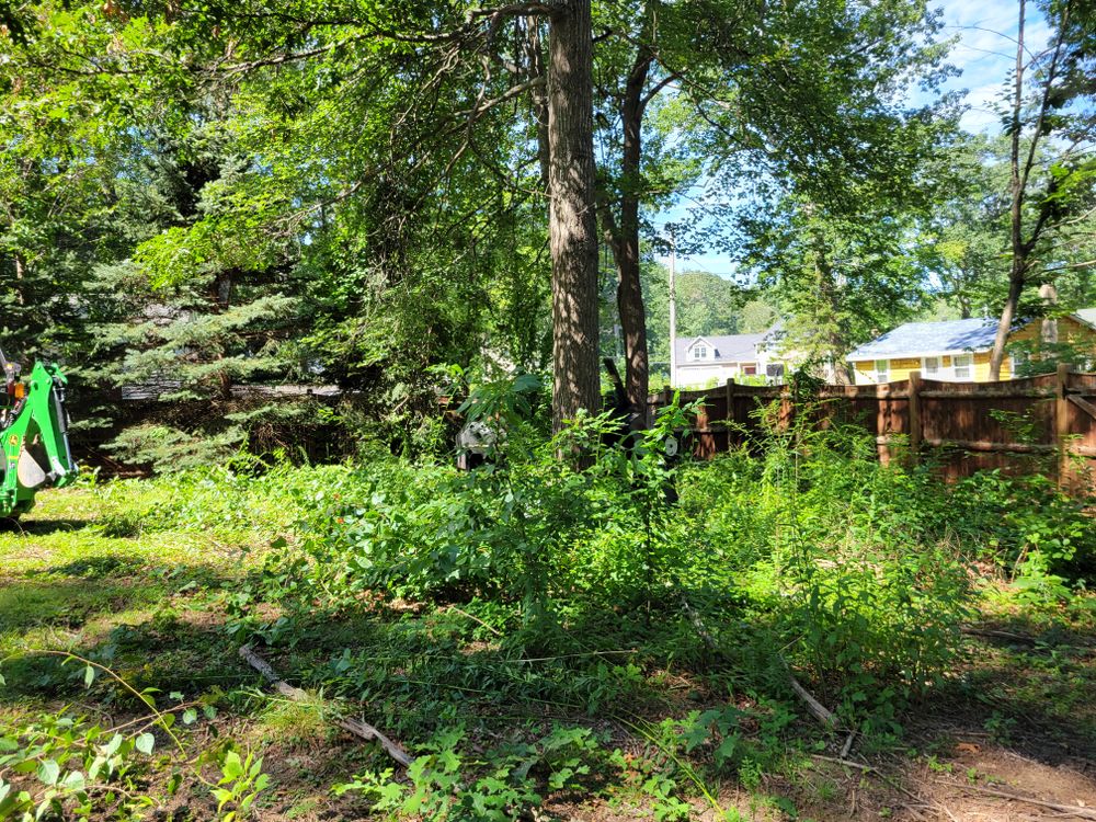 Brush Removal  for Metro Landscaping in Derry, NH