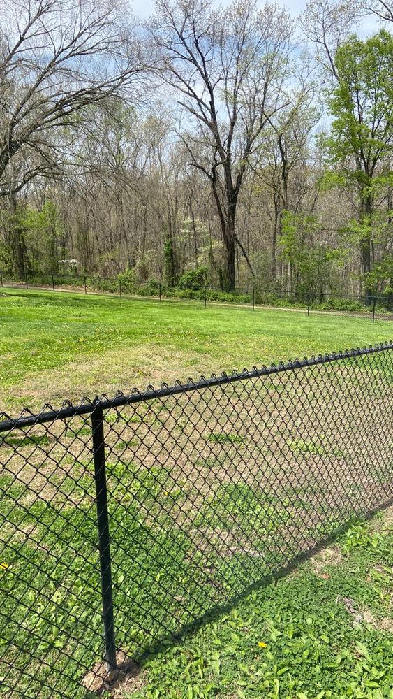 All Photos for Cloud Decking in Mount Vernon, MO